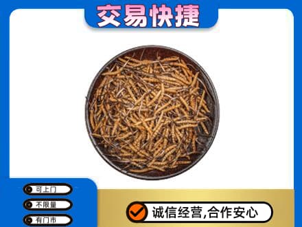 阿坝茂县礼品回收虫草.jpg